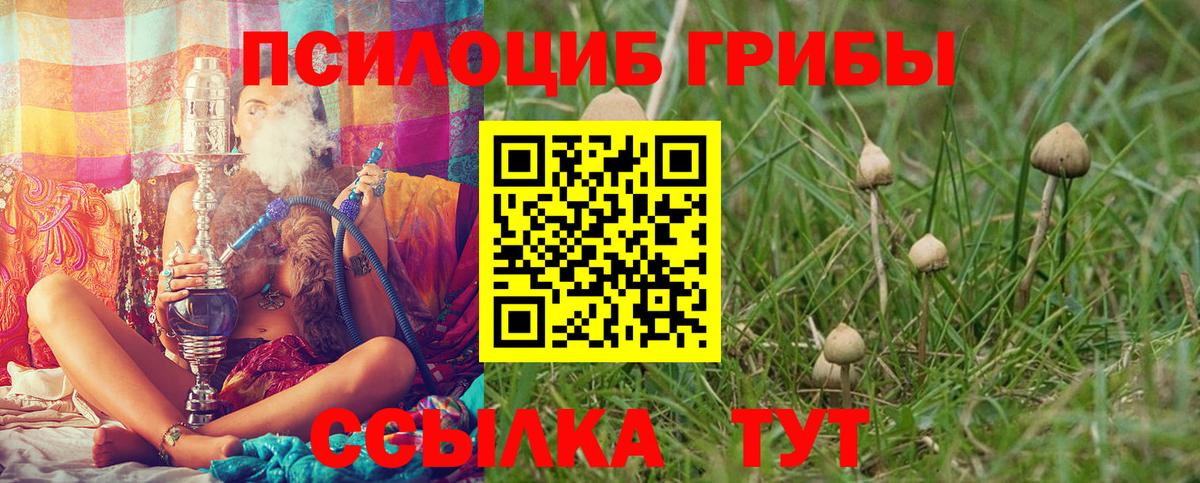 Саратов  Псилоцибиновые грибы Magic Shrooms  Вход с VPN  Псилоцибиновые грибы Magic Shrooms 