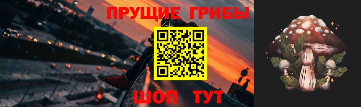 Галлюциногенные грибы прущие грибы Саратов